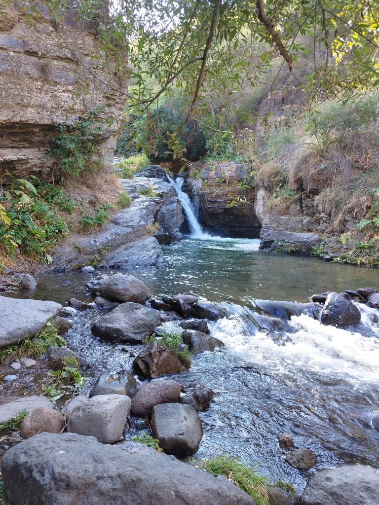 img 20250911 083642