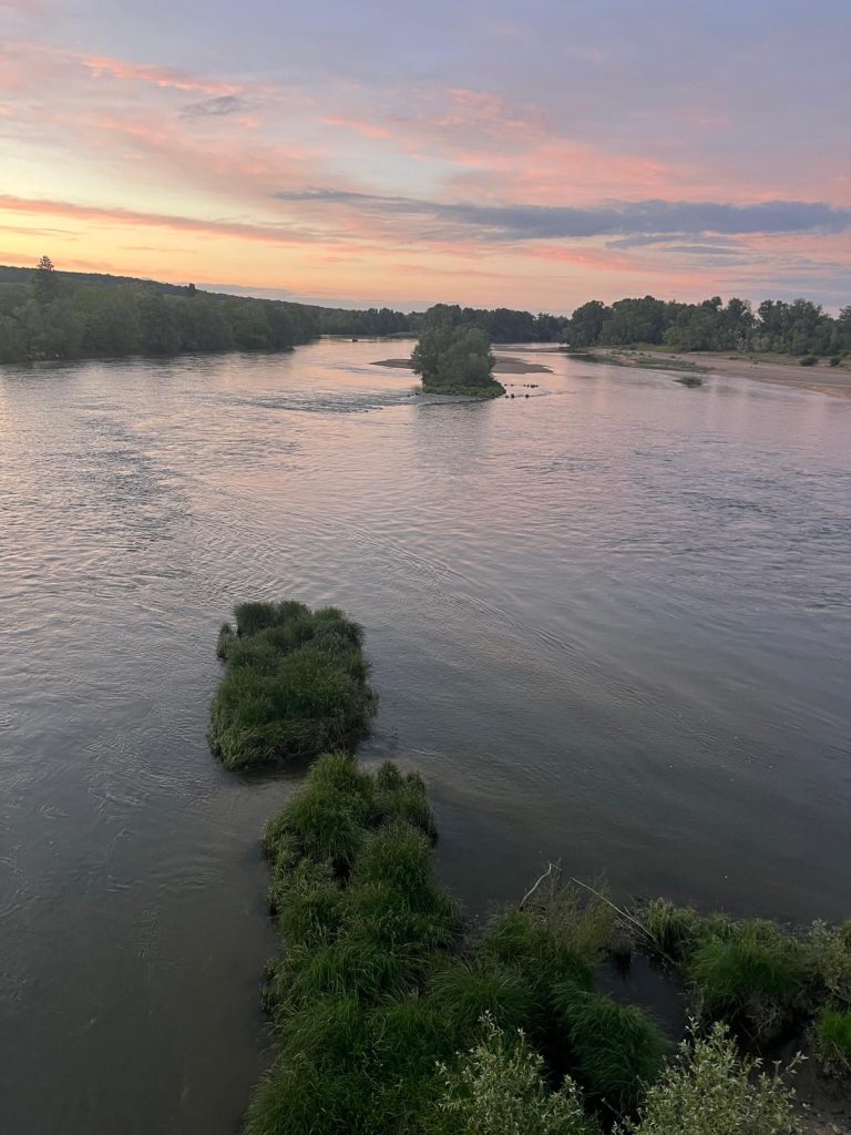 img 20250504 wa0011