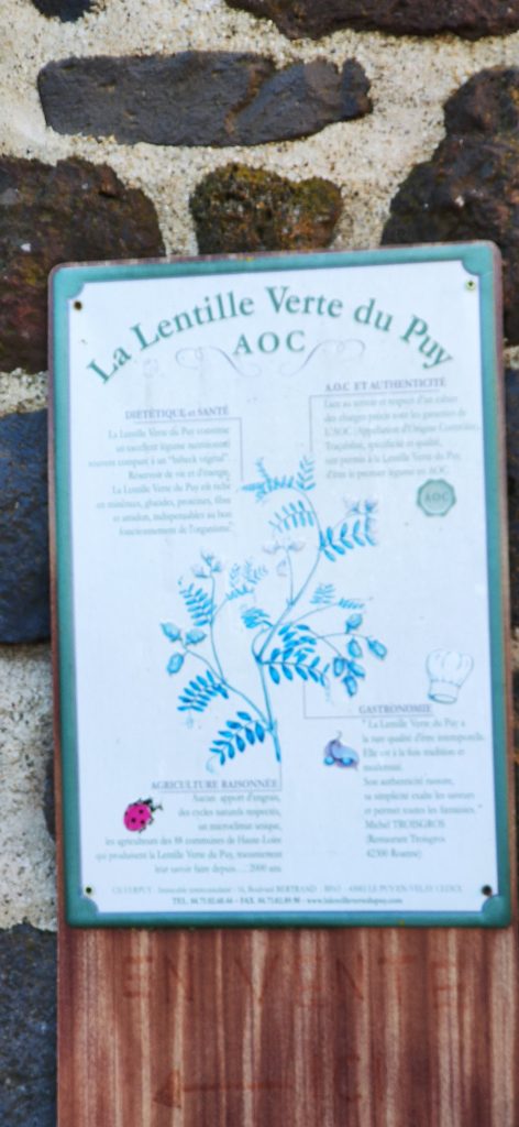 Berceau de la lentille du Puy