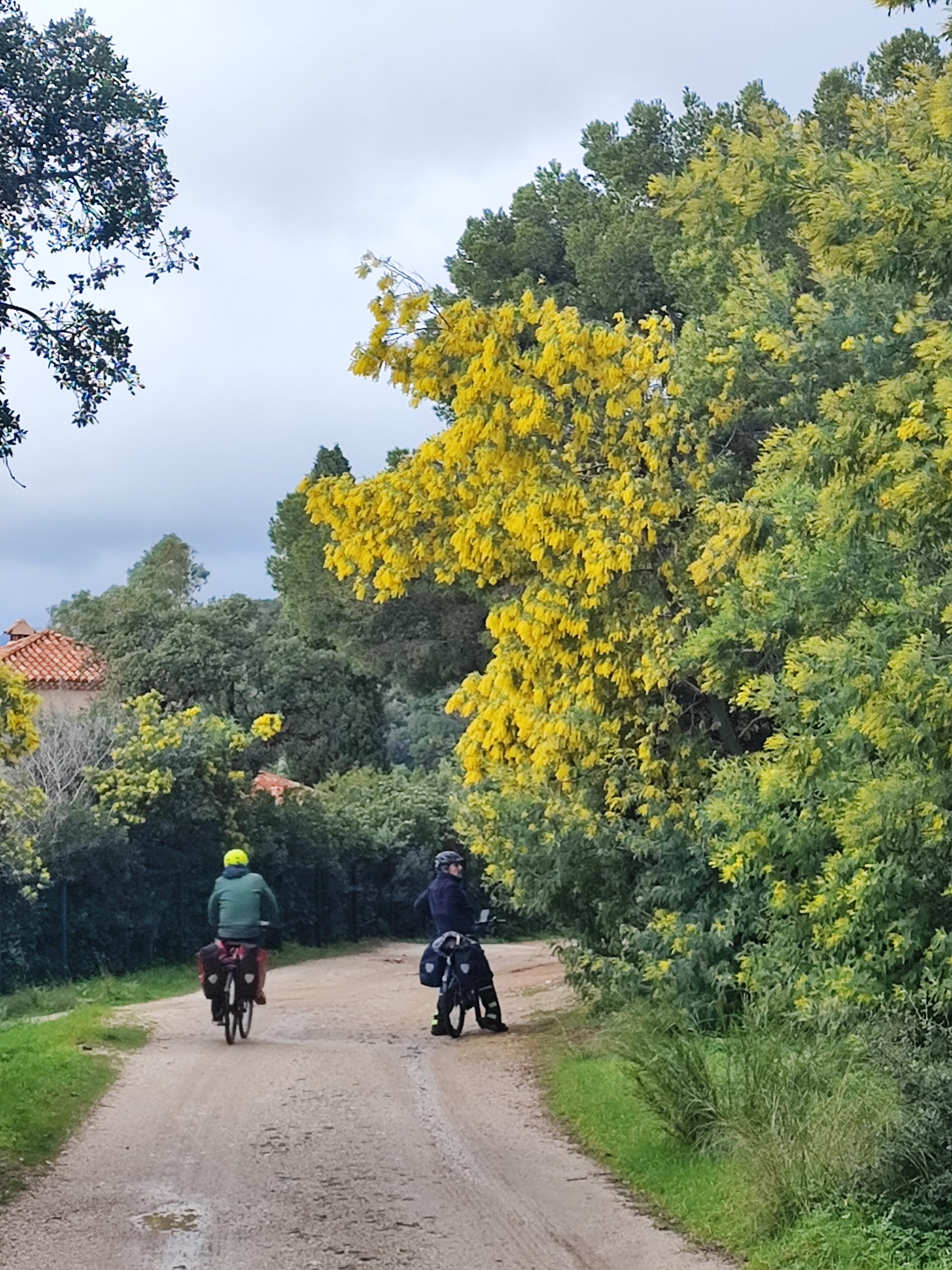 La Méditerranée à vélo de Menton à Hyères