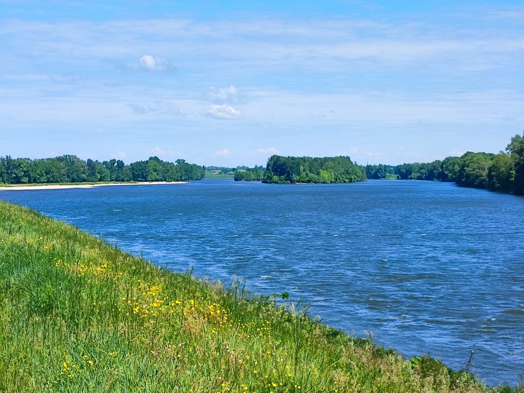 img 20250506 123355