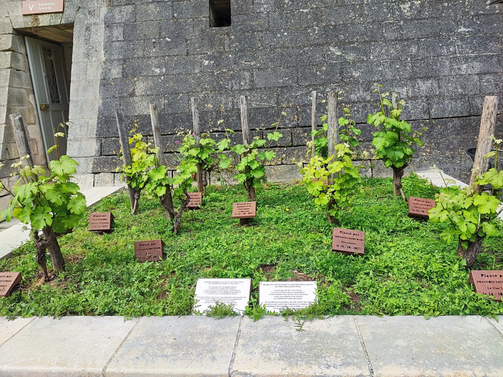 img 20250507 164741