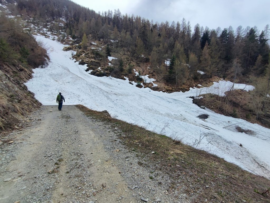 Un nouveau banc de neige. Nous sommes mi-avril et à près de 1500 mètres.