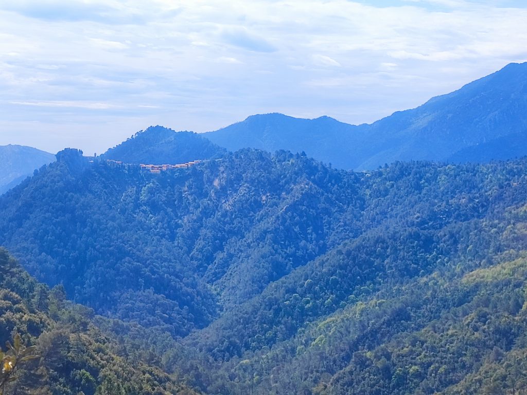 Piène le haut